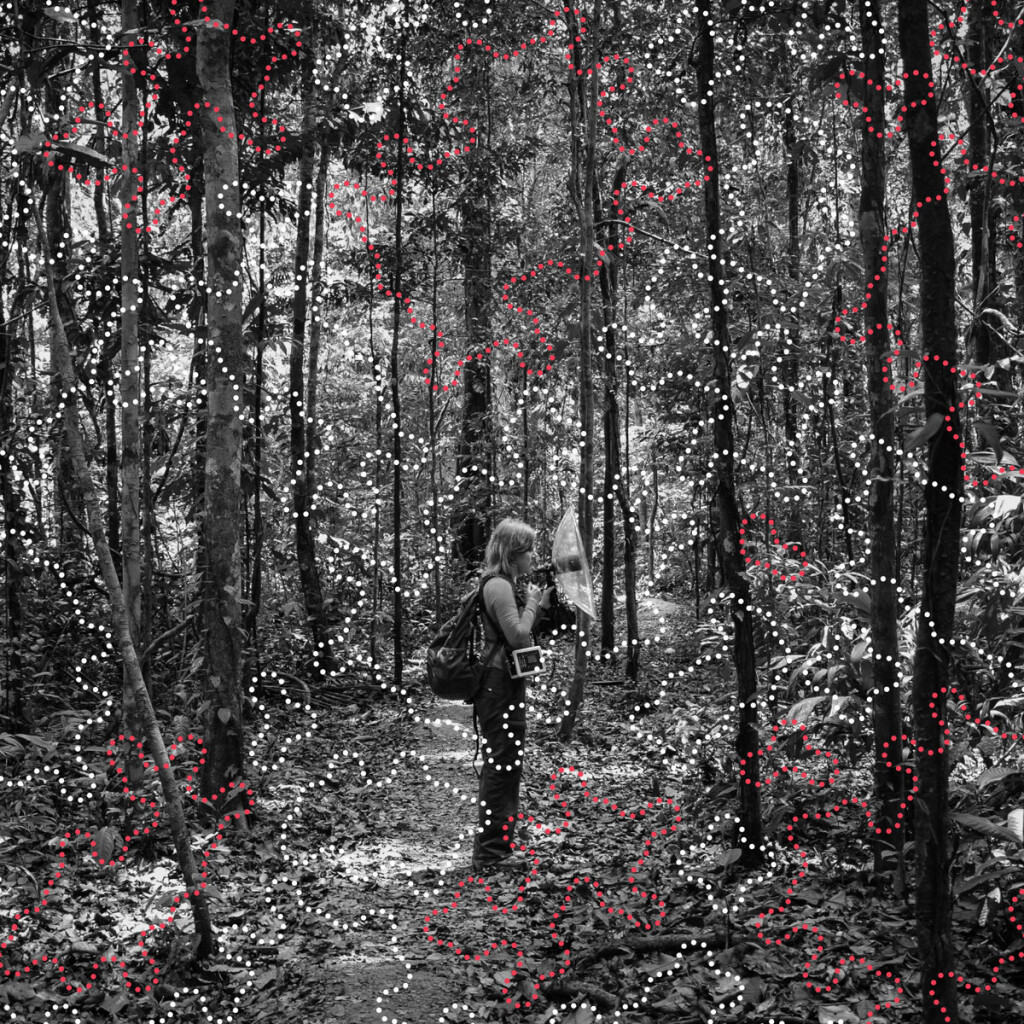 Cover image for The Amazon — Where the Moon Wept, field recording album by Izabela Dłużyk for LOM, showing Izabela with a microphone with an attached dish, standing recording with a backpack on in the middle of a dense forest, dotted lines in red and white interlacing the image.