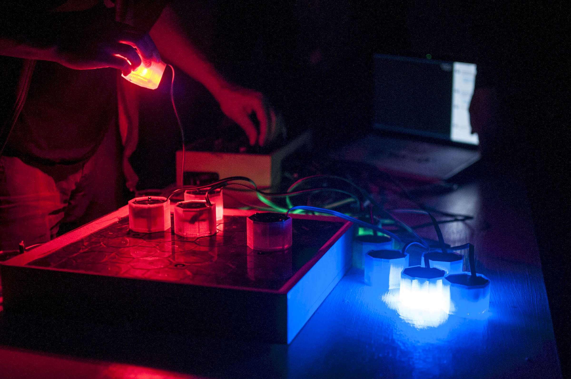 Sequencing with light on an alien-looking instrument by Kacper Ziemianin