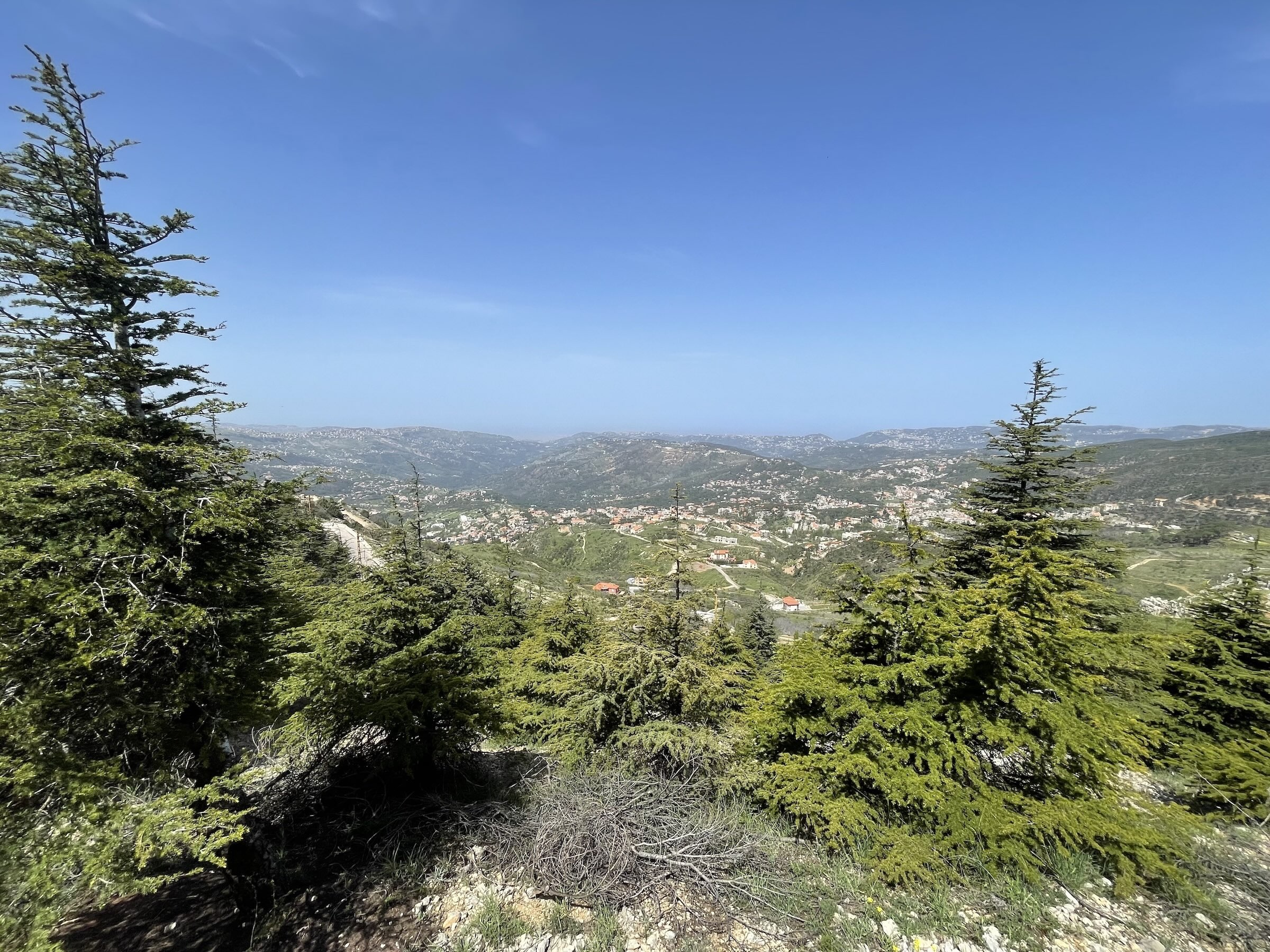 Lebanon’s musicians are a model for action — they deserve support now